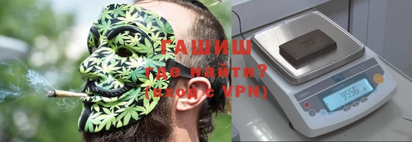 шишки Медвежьегорск
