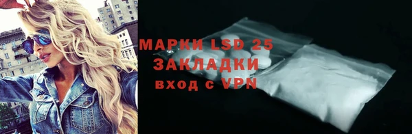 шишки Медвежьегорск