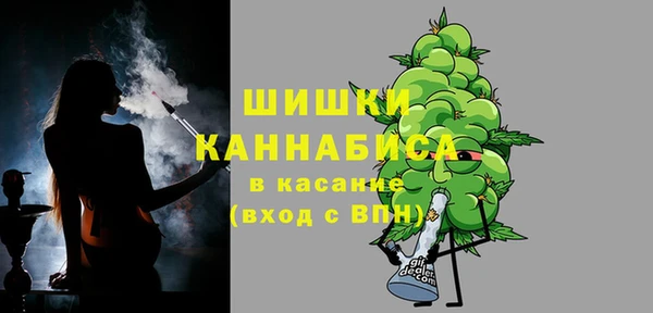 ГАЛЛЮЦИНОГЕННЫЕ ГРИБЫ Медногорск