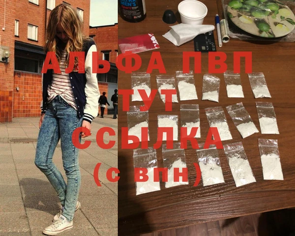 шишки Медвежьегорск