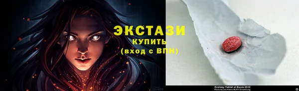 шишки Медвежьегорск