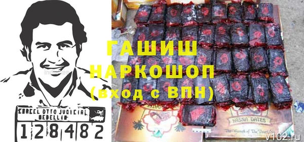 шишки Медвежьегорск