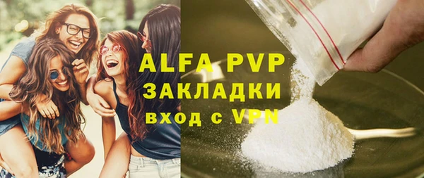 шишки Медвежьегорск