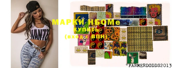 шишки Медвежьегорск