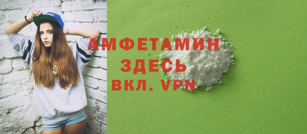шишки Медвежьегорск