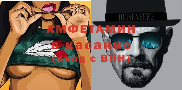 шишки Медвежьегорск